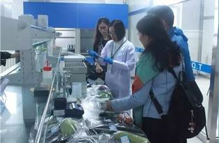 李忠副局長率隊調研供深食用農產品安全與研發工作，筑牢市民“舌尖上的防線”